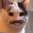 KevKev