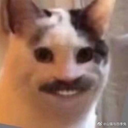 KevKev