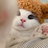 AdophROMEO