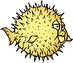 cooldfish