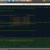 netsnow