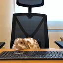 rabbutbit