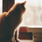 CatWhite