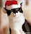bazinga_pan