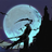 ShadowDomain