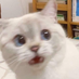 Matt001