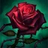 Jayce245