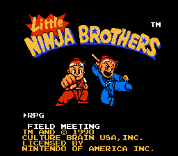 Little Ninja Brothers