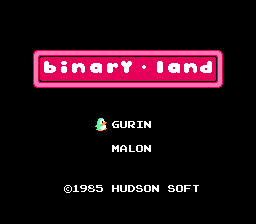 Binary Land