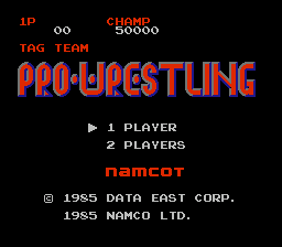 Tag Team Pro-Wrestling Special