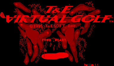 T&E Virtual Golf