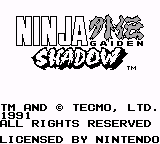 Ninja Gaiden Shadow