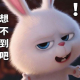 xiaoshideyun