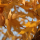 20171025