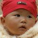 zheng8498