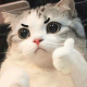 KevinYou
